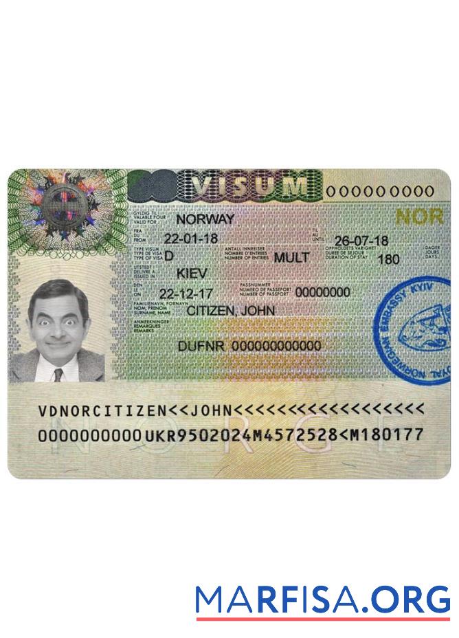 Realistic Norway visa example